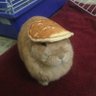 Profilbild von Pancakes