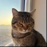 Zhang's profile picture
