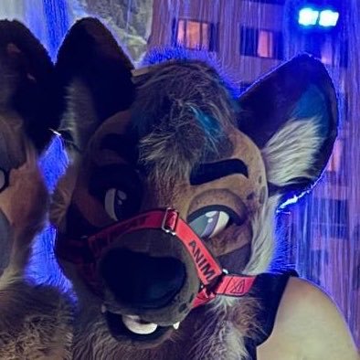 Ryker🐾🔜FTO??'s profile picture