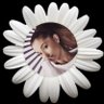 arrow ๊ค missing tour's profile picture