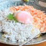 Фото профиля 冷えてる人