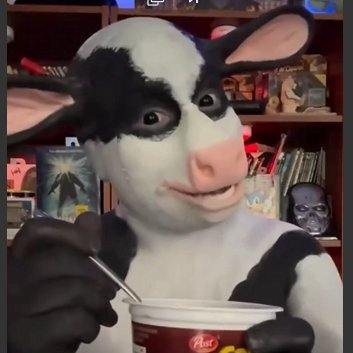 Burki677's profile picture