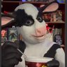 Burki 's profile picture