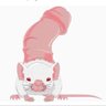 Фото профиля realDAD3.0