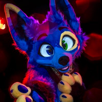 Pringle's profile picture
