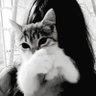 𝐀𝐯𝐞♡'s profile picture