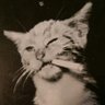 a's profile picture