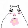 Profilbild von こひめ