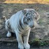 Profilbild von ZOO&AQUARIUM