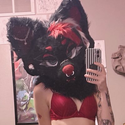 🔞🦇𝐁𝐚𝐭𝐳𝐜𝐚𝐭𝐳🐈⬛🔞 Hiatus's profile picture
