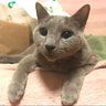 わこ's profile picture