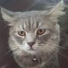 Simon ⋈ (🎙️/acc)'s profile picture