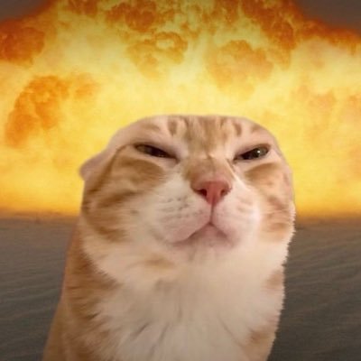 lalisamyl0ver's profile picture