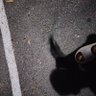 Фото профиля b (ebabaik)