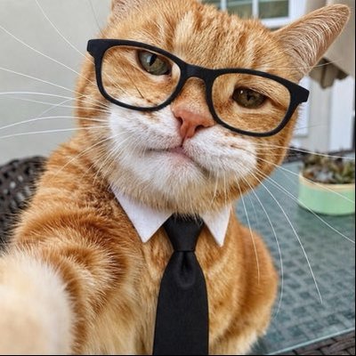 BETA_KimJL's profile picture