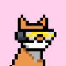 Sherp's profile picture