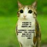 根治你觉得不可能的's profile picture