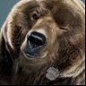 Grizzly Gregg 的头像