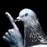 태기 profil fotoğrafı