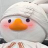 Profilbild von whale🦆🐰