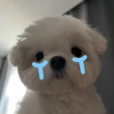 Ngân's profile picture