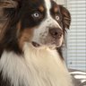 Фото профиля Milo