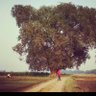 Ritesh scalzo's profile picture