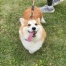 鍬屋(KUWAYA)'s profile picture