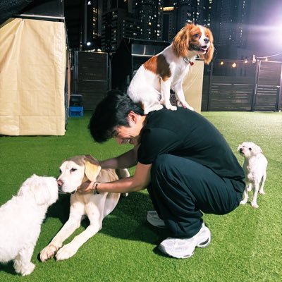 sonkkurak_402's profile picture