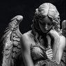 Profilbild von Michal Thought