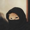 Noaaaaa's profile picture