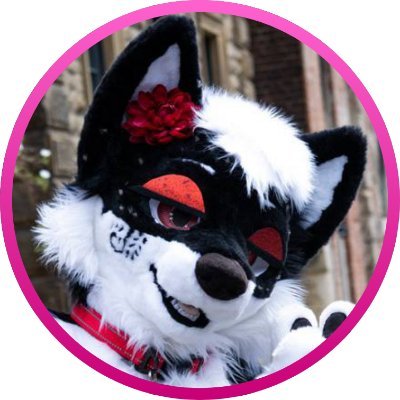 JasperAfterBark's profile picture