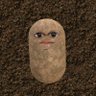 sev's profile picture