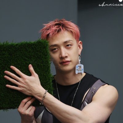 chanieeworld's profile picture