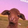 Profilbild von Son of Arkly