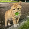 Фото профиля whoapprovedthis