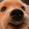 Profilbild von s