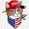 Rabindra. 🚩's profile picture