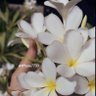 فتاة مؤدبة 🦋's profile picture