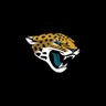 Фото профиля Jacksonville Jaguars