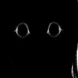 burgerbums34's profile picture