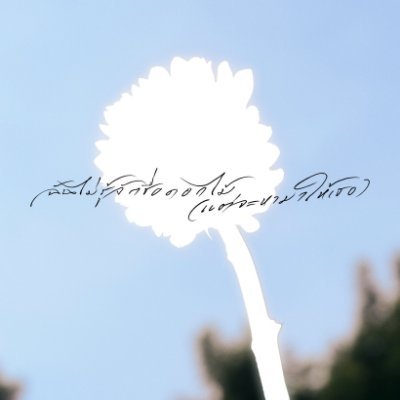 paijitsaoug's profile picture