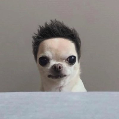 iziziri's profile picture