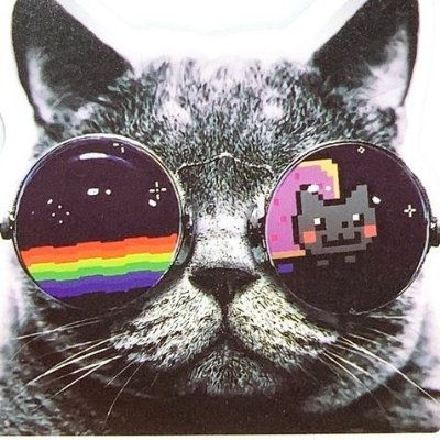 🐱's profile picture