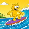 Chat Surfeur ็ๅคดๅ