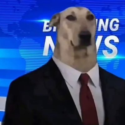 𝘼𝙉𝘼𝙉𝘿's profile picture