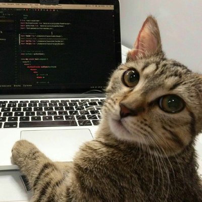 vib3coded's profile picture