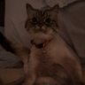 Profilbild von k