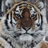 Winay profil fotoğrafı