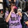 ましゅまろ。🧸ྀིྀིྀིྀིྀི profil fotoğrafı